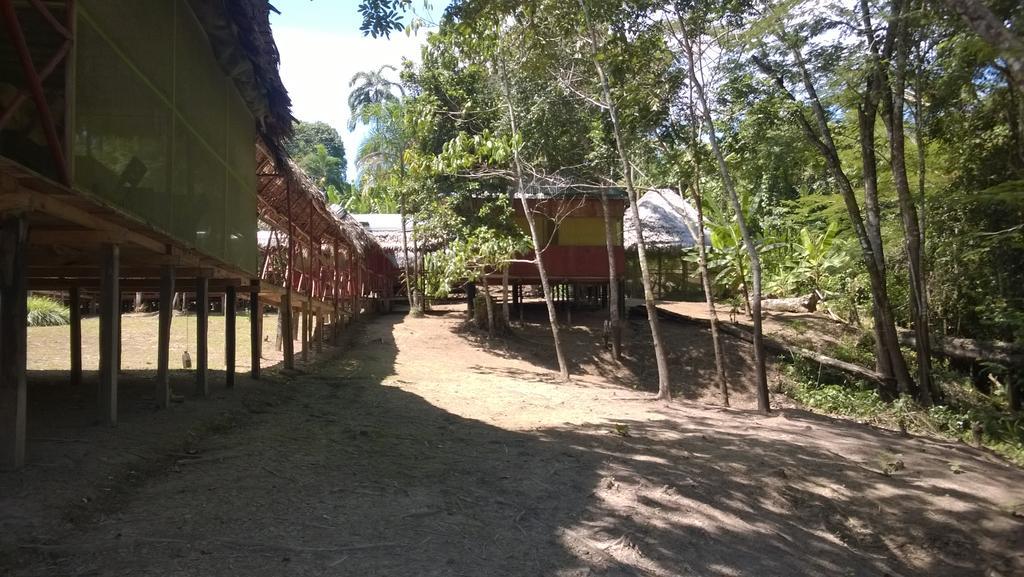 Mazán Amazon Queen Lodge חדר תמונה