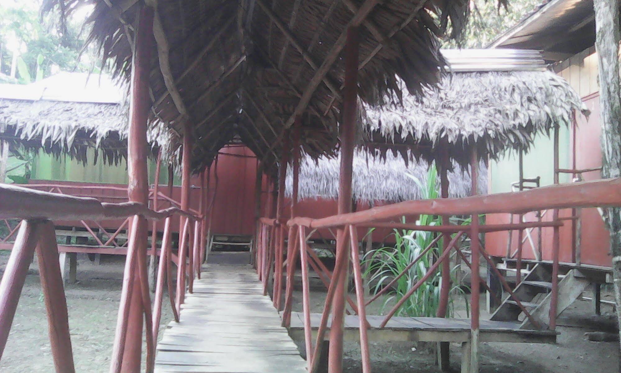 Mazán Amazon Queen Lodge מראה חיצוני תמונה
