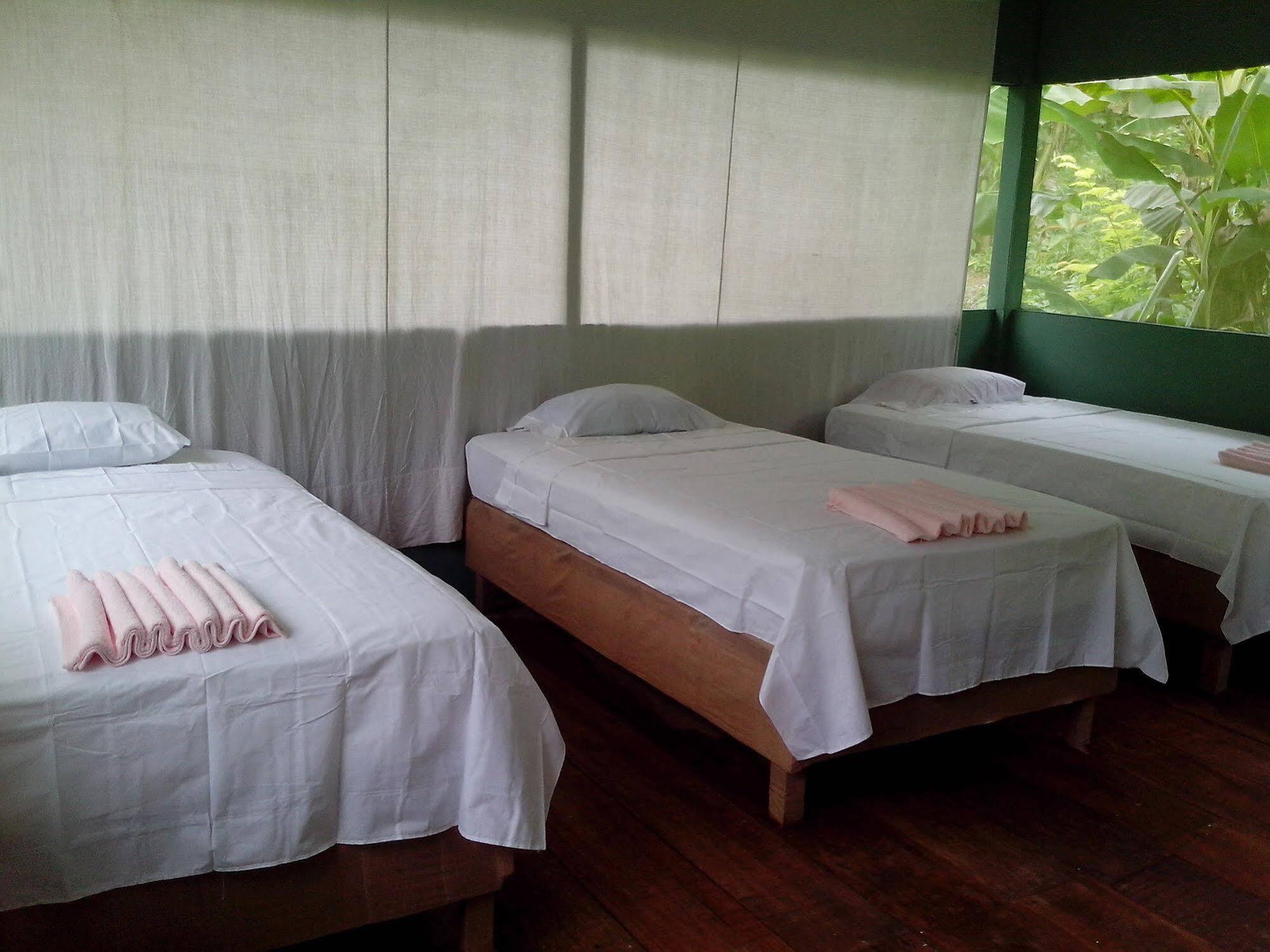 Mazán Amazon Queen Lodge מראה חיצוני תמונה